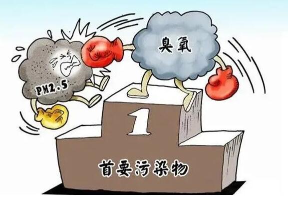 臭氧的：